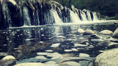 Waterfall of life