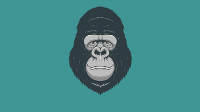 голова, минимализм, monkey, обезьяна, горилла