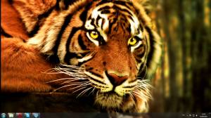 Tiger - Тема с тигром