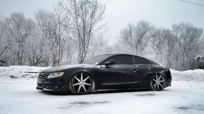 Audi in Frosty Winter