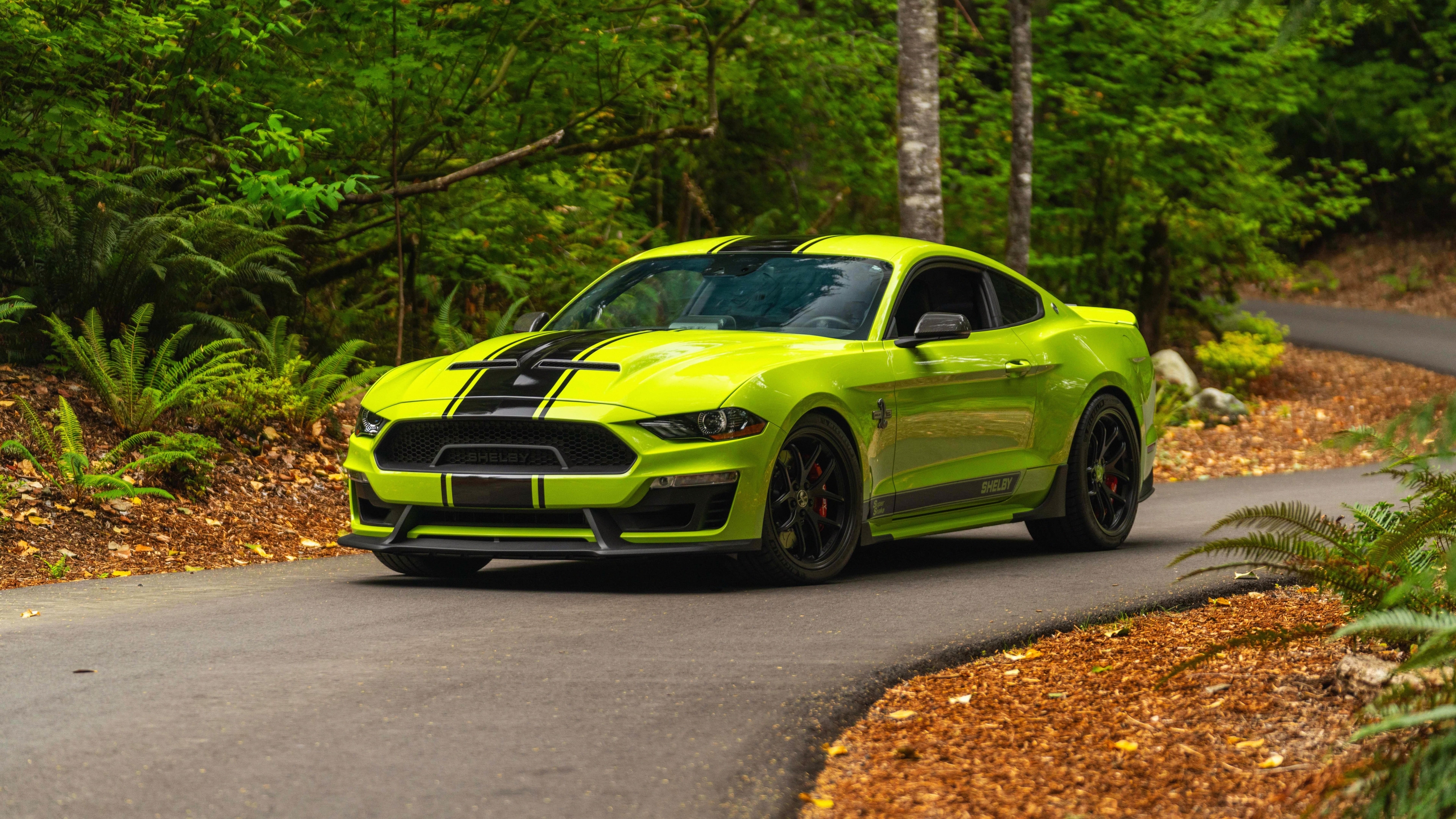 Ford Mustang Shelby GT500