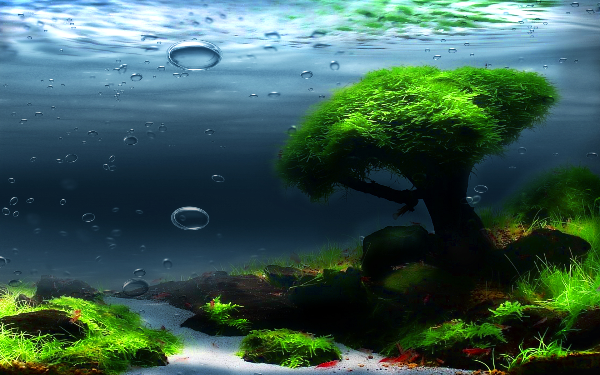 Underwater landscape (1920x1200) - Обои - 3D обои