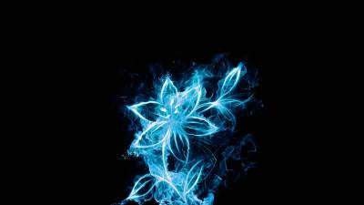 blue flowers glow