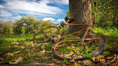 природа, велосипед, дерево