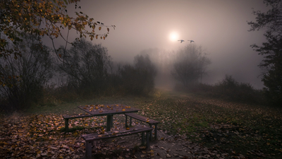 осень, скамья, вечер, туман