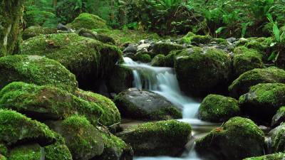 Водопад и камни м зеленом мохе
