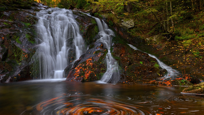природа, лес, осень, поток, водопад