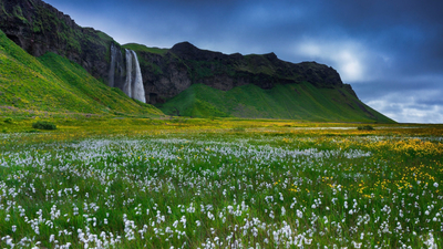Исландия, скалы, цветы, трава, водопад