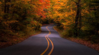 США, лес, осень, деревья, дорога, Michigan