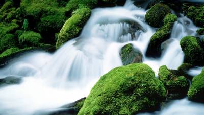 Водопад и камни покрытые зеленым мохом