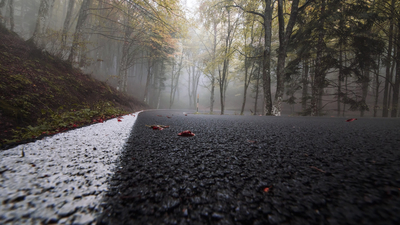 осень, дорога, туман