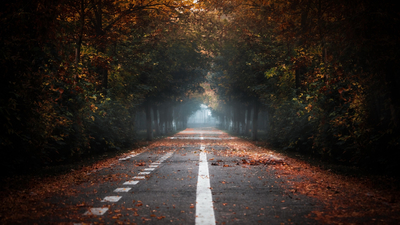 осень, дорога, туман