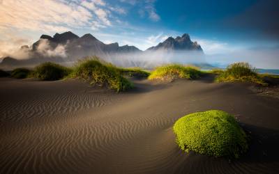 Icelandic Beach Landscape