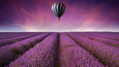 Purple Flower Field Air Ballon