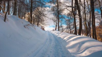 Дорога в снегу