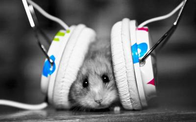 Mouse with headphone