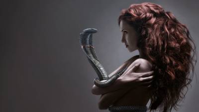 The Girl in the arms of Cobra
