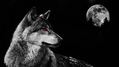 глаза, хищник, волк, луна