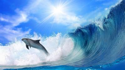 Дельфин и волна