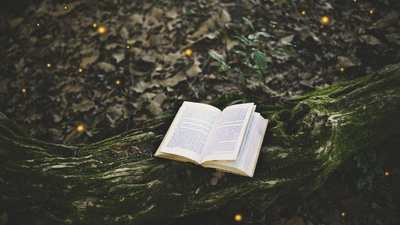 лес, книга, мох, страницы, дерево