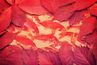 листья, фон, цвет, рыбы