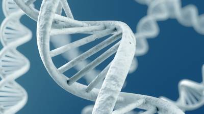 Белые спирали ДНК