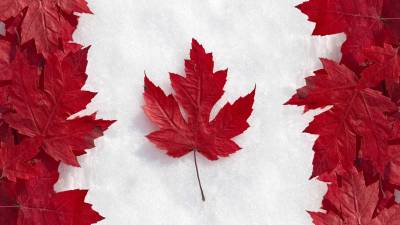 Canada Flag Maple Leaf Art