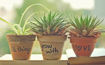 All things grow with love
