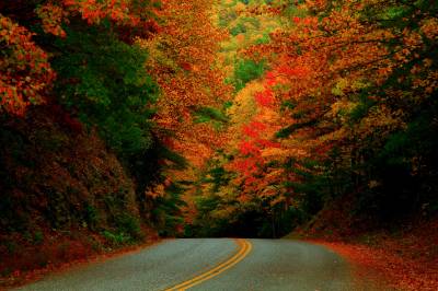 Осенняя дорога