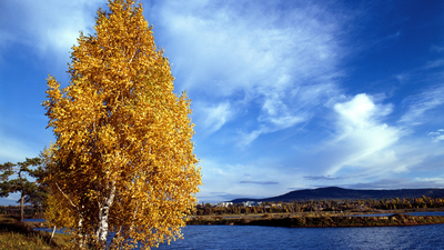 берег, листья, осень, желтые, небо, река, облака