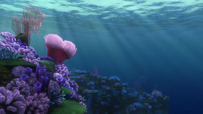 Finding Nemo - Coral Reef