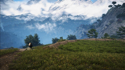 Far Cry 4 Grasslands