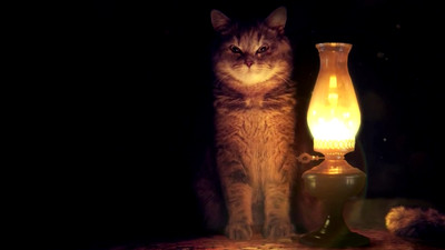 Lamp and Cat