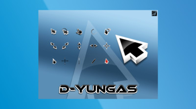 D-Yungas